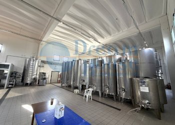 Foto 18 - Capannone Via Pianagallo, Corropoli - foto 18