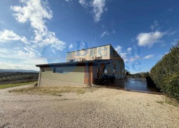 Foto 19 - Capannone Via Pianagallo, Corropoli - foto 19