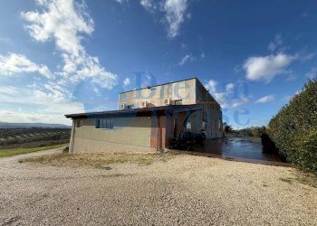 Foto 20 - Capannone Via Pianagallo, Corropoli - foto 20