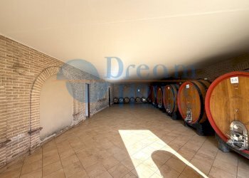 Foto 22 - Capannone Via Pianagallo, Corropoli - foto 22