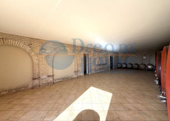 Foto 23 - Capannone Via Pianagallo, Corropoli - foto 23