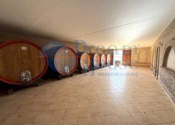 Foto 24 - Capannone Via Pianagallo, Corropoli - foto 24