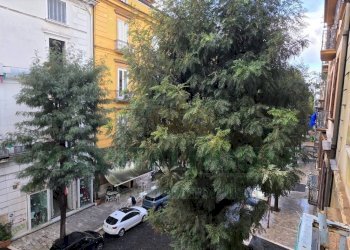 Foto 17 - Trilocale Corso Trieste, Caserta - foto 17