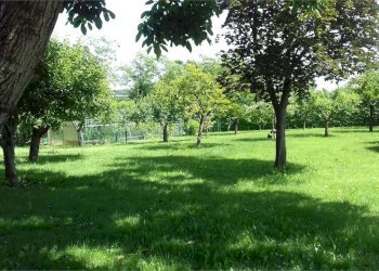 Villa Fossano - photo 19