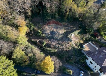 Giardino - Terreno edificabile Via Pessina, Viggiù - foto 8