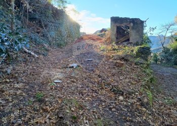 Non correlato - Terreno edificabile Via Pessina, Viggiù - foto 13