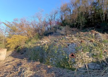 Giardino - Terreno edificabile Via Pessina, Viggiù - foto 14