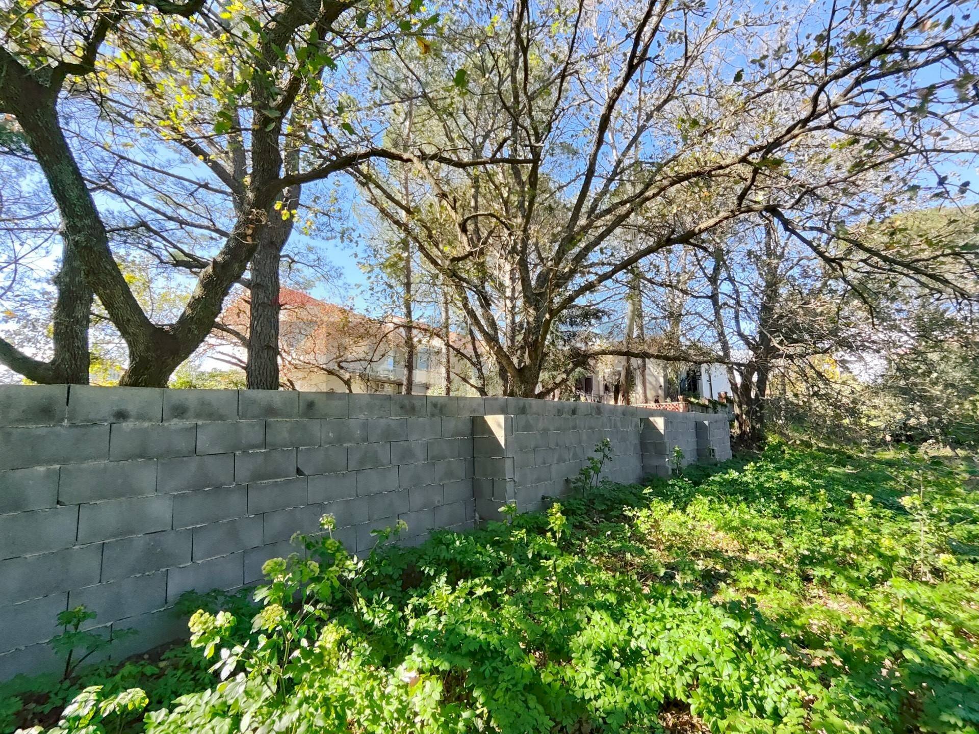 Giardino - Terreno edificabile via generale dalla chiesa, Pedara - foto 2