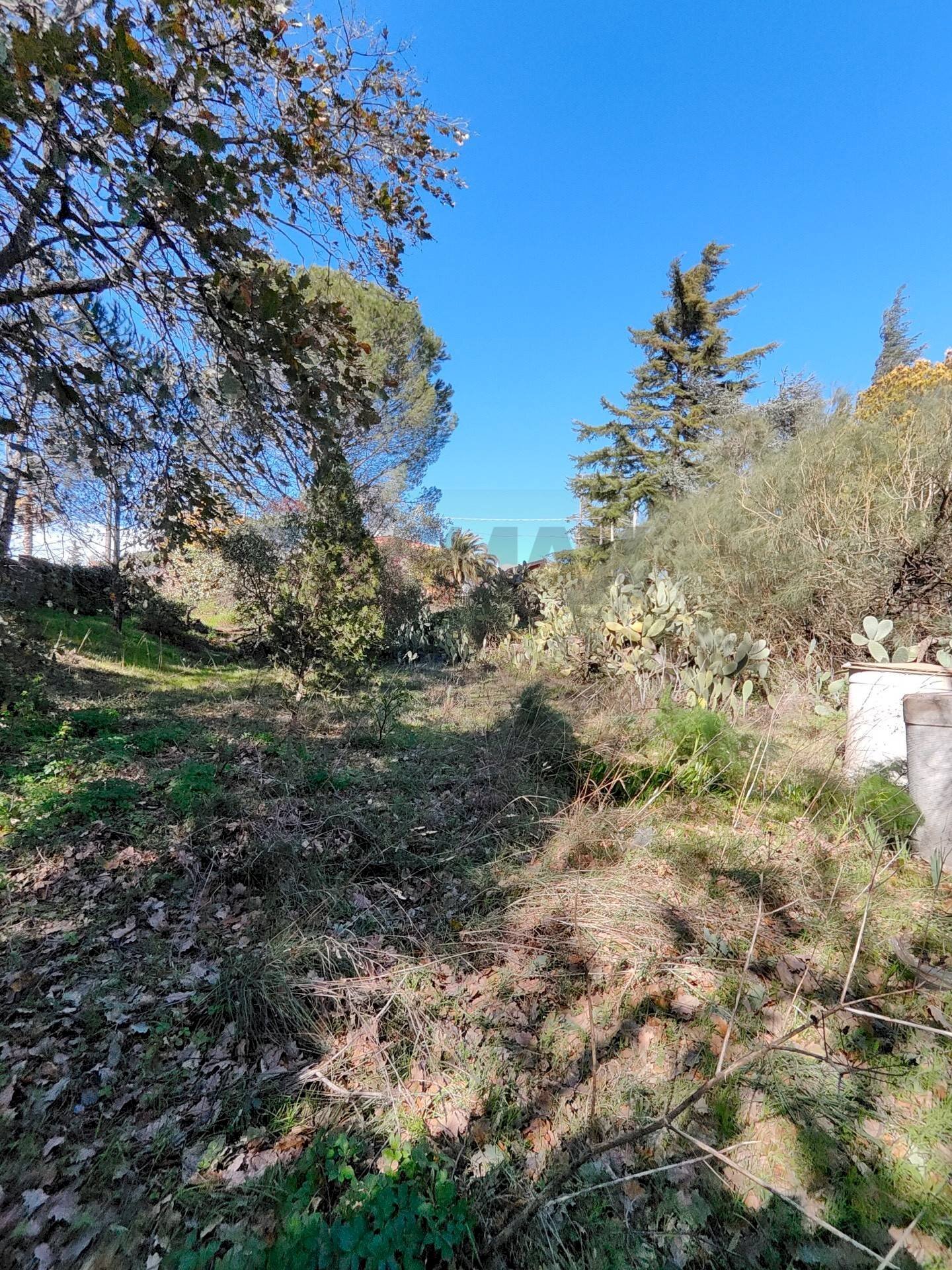 Non correlato - Terreno edificabile via generale dalla chiesa, Pedara - foto 3
