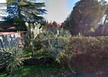 Giardino - Terreno edificabile via generale dalla chiesa, Pedara - foto 14