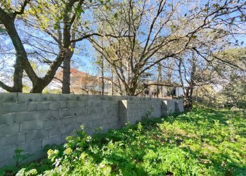 Giardino - Terreno edificabile via generale dalla chiesa, Pedara - foto 2