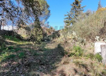 Non correlato - Terreno edificabile via generale dalla chiesa, Pedara - foto 3