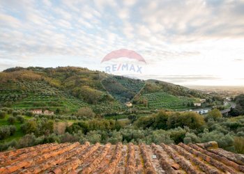 Vista delle montagne - Apartment Via Giuseppe Garibaldi
 
47, 41 - 43, Serravalle Pistoiese - photo 25