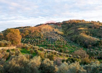 Vista delle montagne - Apartment Via Giuseppe Garibaldi
 
47, 41 - 43, Serravalle Pistoiese - photo 27