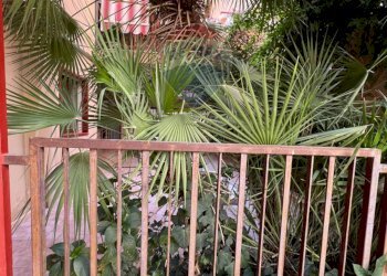 Giardino - Quadrilocale Via Leonardo Da Vinci
 
24, Caltanissetta - foto 6