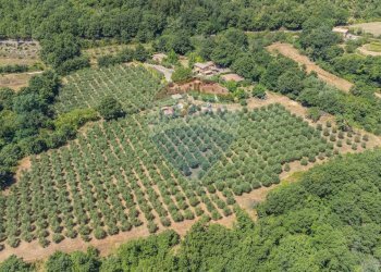 Casa all\'aperto - Rustico San Valentino Puntone
 
29, Sorano - foto 4
