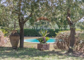 Piscina - Rustico San Valentino Puntone
 
29, Sorano - foto 40