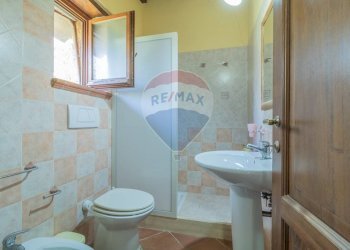 Bagno - Rustico San Valentino Puntone
 
29, Sorano - foto 48