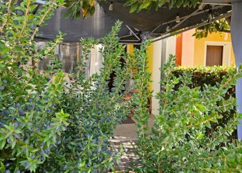 Foto 31 - Villa a Schiera Via Salvamaggio
 
21, Colli al Metauro - foto 31