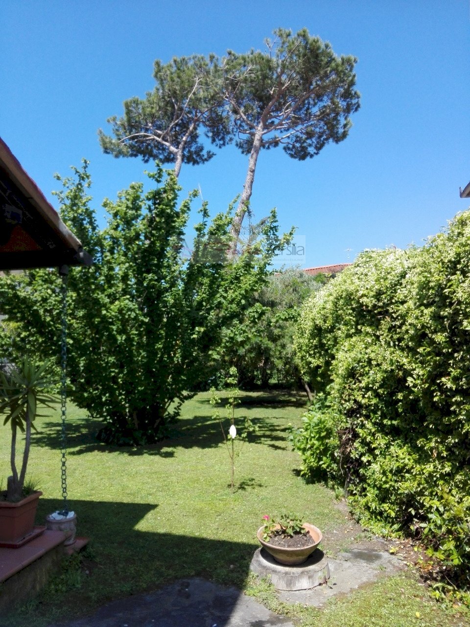 Foto 2 - Villa Forte dei Marmi - foto 2