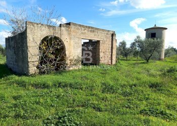 Foto 1 - Rustico Contrada Vita Case Rosse, Galatina - foto 1