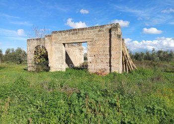 Foto 5 - Rustico Contrada Vita Case Rosse, Galatina - foto 5