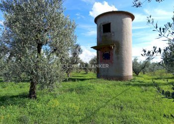 Foto 6 - Rustico Contrada Vita Case Rosse, Galatina - foto 6