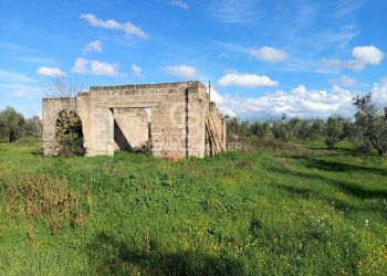 Foto 11 - Rustico Contrada Vita Case Rosse, Galatina - foto 11
