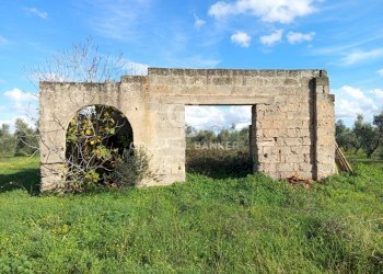 Foto 12 - Rustico Contrada Vita Case Rosse, Galatina - foto 12