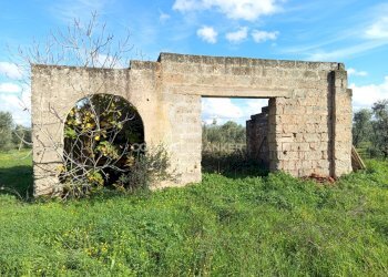 Foto 13 - Rustico Contrada Vita Case Rosse, Galatina - foto 13