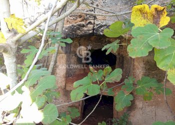 Foto 14 - Rustico Contrada Vita Case Rosse, Galatina - foto 14