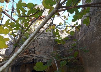 Foto 15 - Rustico Contrada Vita Case Rosse, Galatina - foto 15