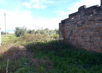 Foto 16 - Rustico Contrada Vita Case Rosse, Galatina - foto 16