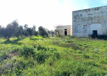 Foto 18 - Rustico Contrada Vita Case Rosse, Galatina - foto 18