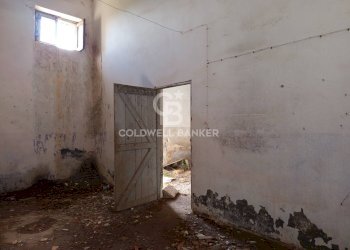 Foto 20 - Rustico Contrada Vita Case Rosse, Galatina - foto 20