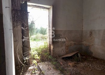 Foto 23 - Rustico Contrada Vita Case Rosse, Galatina - foto 23