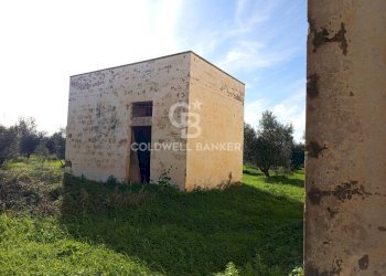 Foto 28 - Rustico Contrada Vita Case Rosse, Galatina - foto 28