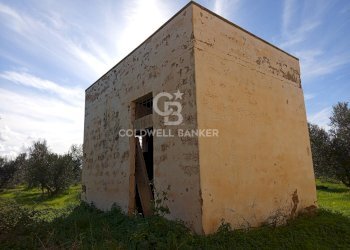 Foto 29 - Rustico Contrada Vita Case Rosse, Galatina - foto 29