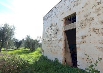 Foto 30 - Rustico Contrada Vita Case Rosse, Galatina - foto 30