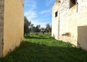 Foto 31 - Rustico Contrada Vita Case Rosse, Galatina - foto 31