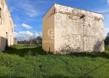 Foto 32 - Rustico Contrada Vita Case Rosse, Galatina - foto 32