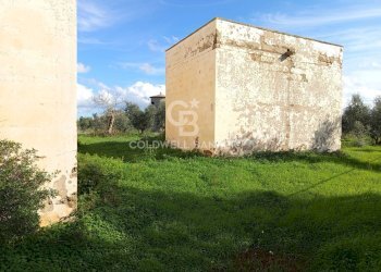 Foto 33 - Rustico Contrada Vita Case Rosse, Galatina - foto 33