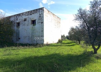 Foto 34 - Rustico Contrada Vita Case Rosse, Galatina - foto 34