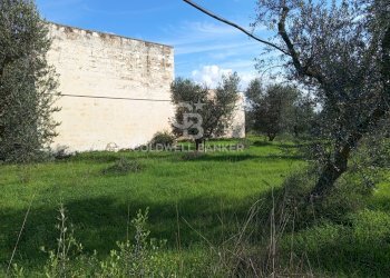 Foto 35 - Rustico Contrada Vita Case Rosse, Galatina - foto 35