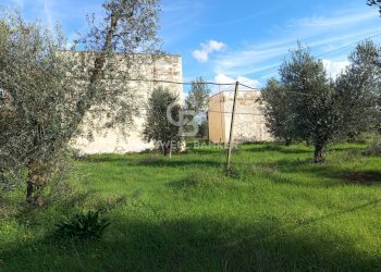 Foto 36 - Rustico Contrada Vita Case Rosse, Galatina - foto 36