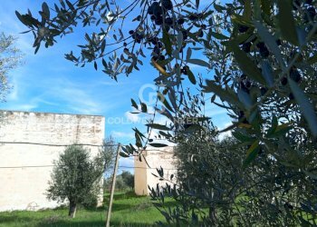 Foto 37 - Rustico Contrada Vita Case Rosse, Galatina - foto 37