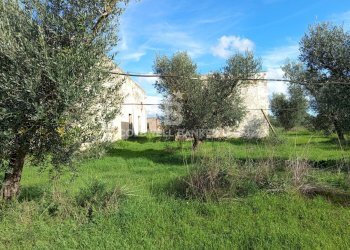 Foto 40 - Rustico Contrada Vita Case Rosse, Galatina - foto 40