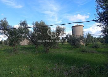 Foto 43 - Rustico Contrada Vita Case Rosse, Galatina - foto 43