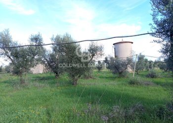 Foto 44 - Rustico Contrada Vita Case Rosse, Galatina - foto 44