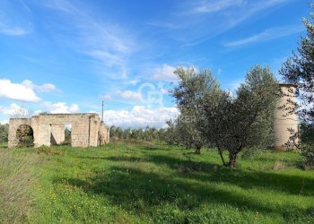 Foto 47 - Rustico Contrada Vita Case Rosse, Galatina - foto 47